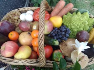 Légumes & Fruits